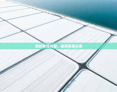 热刺表现抢眼，逐渐崭露头角