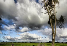 还没决定去留！字母哥潜在下家曝光，5大热门球队，谁最适合他？