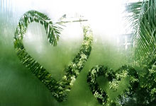 还没决定去留！字母哥潜在下家曝光，5大热门球队，谁最适合他？