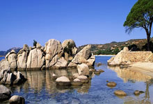 还没决定去留！字母哥潜在下家曝光，5大热门球队，谁最适合他？