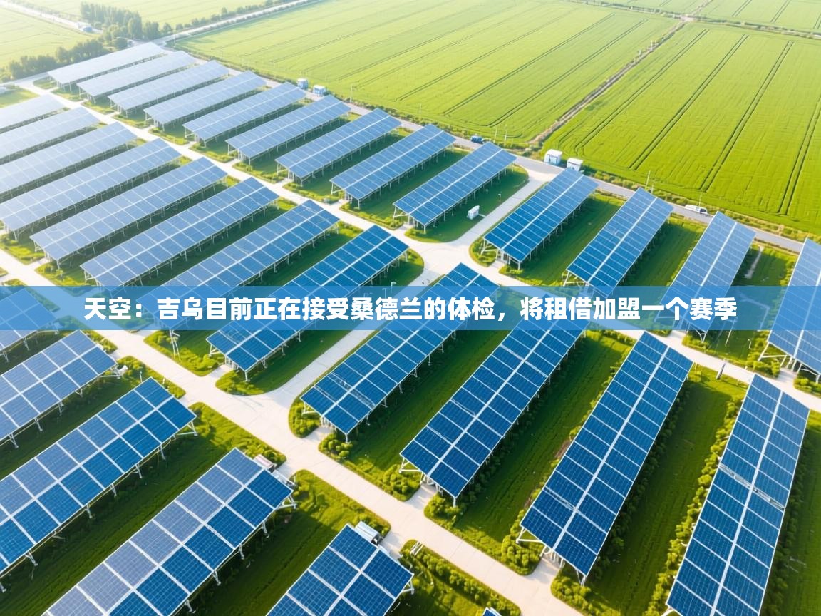 天空：吉乌目前正在接受桑德兰的体检，将租借加盟一个赛季  第1张