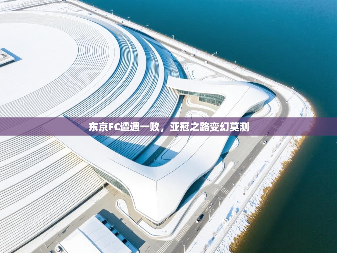 东京FC遭遇一败，亚冠之路变幻莫测  第1张