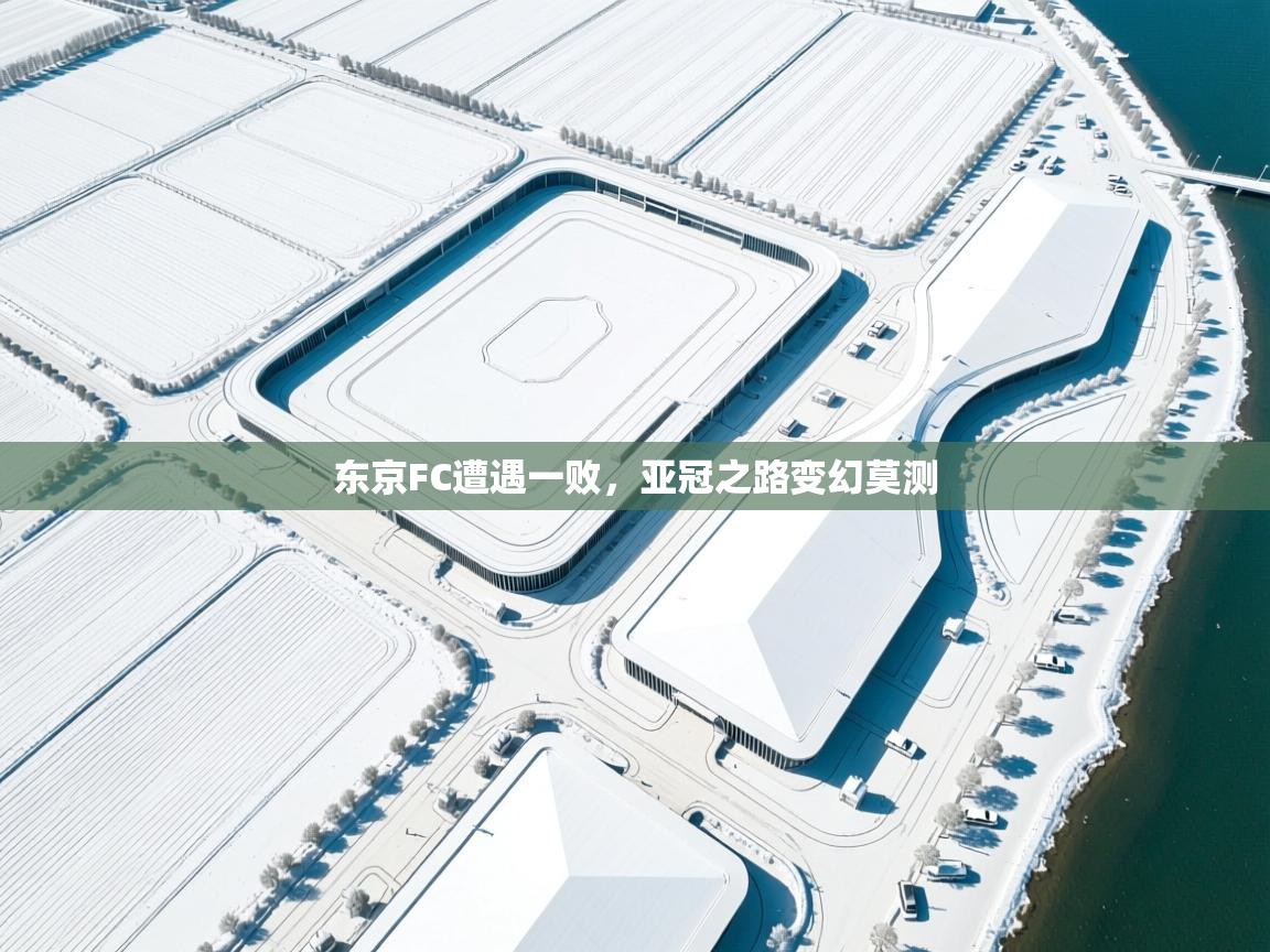 东京FC遭遇一败，亚冠之路变幻莫测  第2张