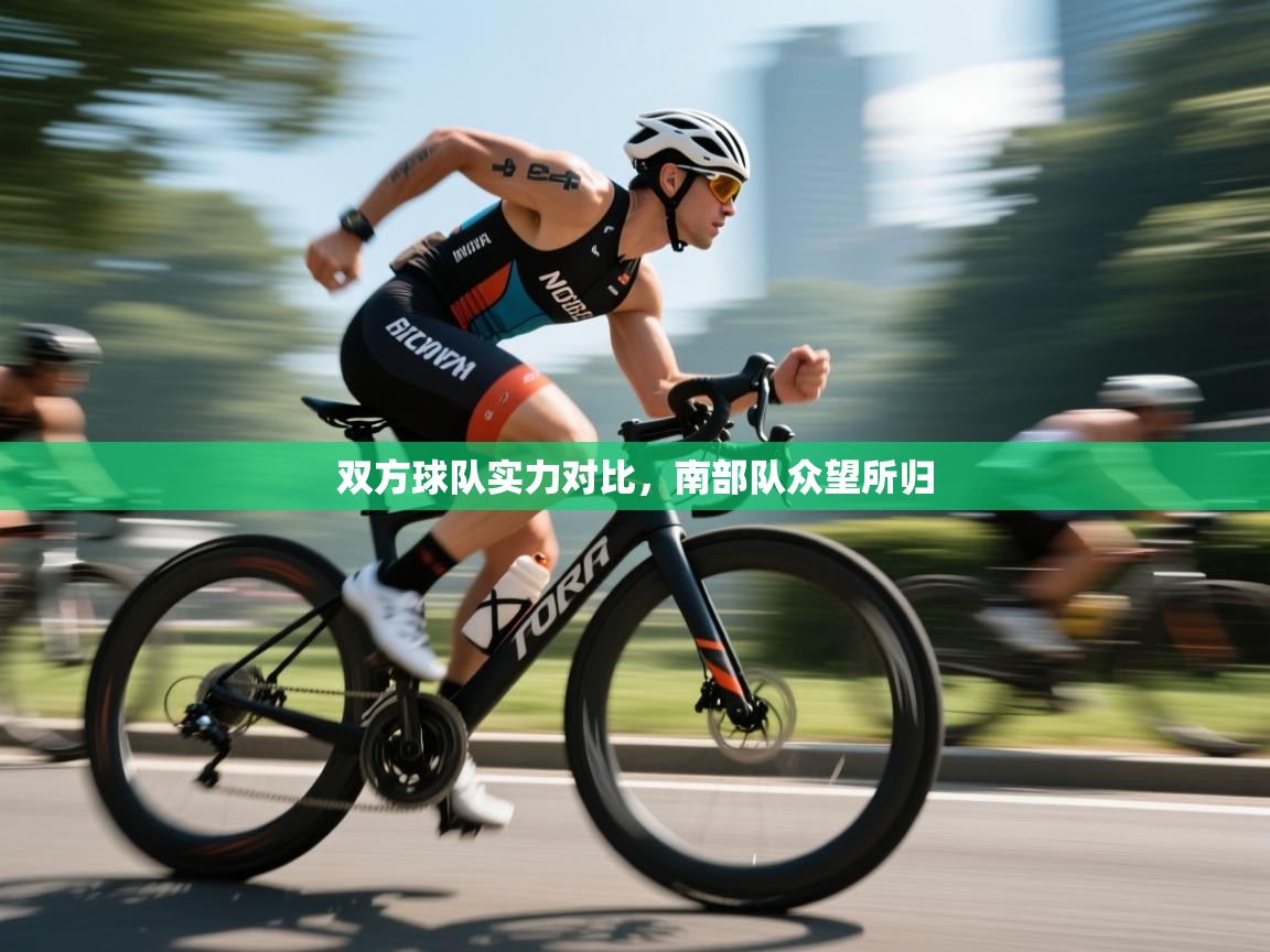 双方球队实力对比，南部队众望所归  第2张