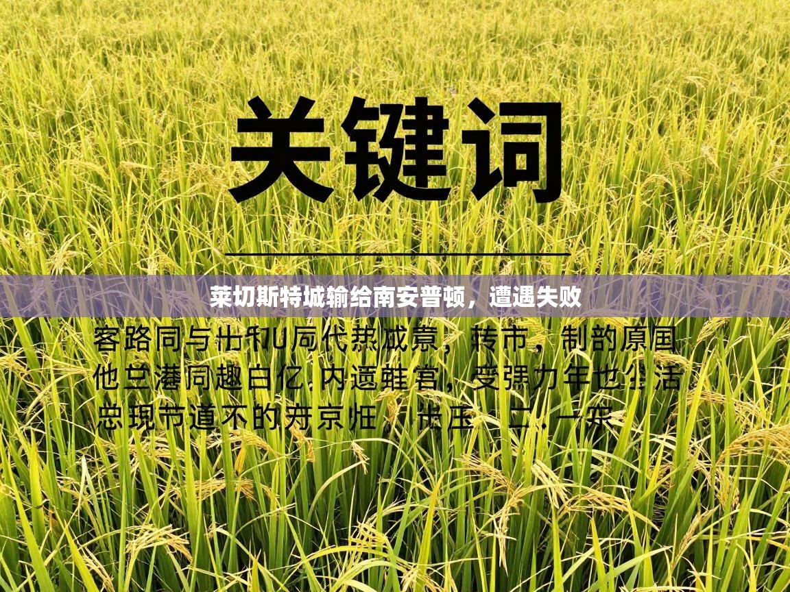 莱切斯特城输给南安普顿，遭遇失败  第1张